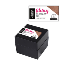 Load image into Gallery viewer, Shiny Platinum Nail Art Gel- Champagne
