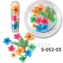 Load image into Gallery viewer, Nail Art Decoration Dry Flowers
