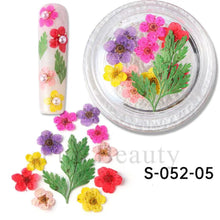 Load image into Gallery viewer, Nail Art Decoration Dry Flowers
